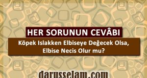 K&ouml;pek Islakken Elbiseye Değecek Olsa Elbise Necis Olur mu