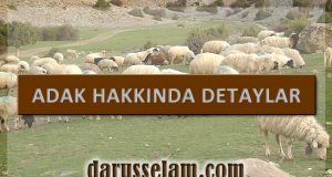 Adak Nedir, Adak Hakkında Bilgi