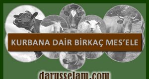 Kurbana Dair Meseleler