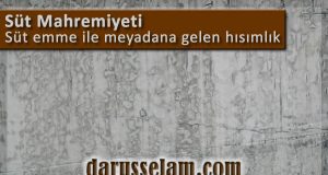 S&uuml;t Mahremiyeti S&uuml;t Hısımlığı