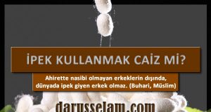 Giyim Kuşamda İpek